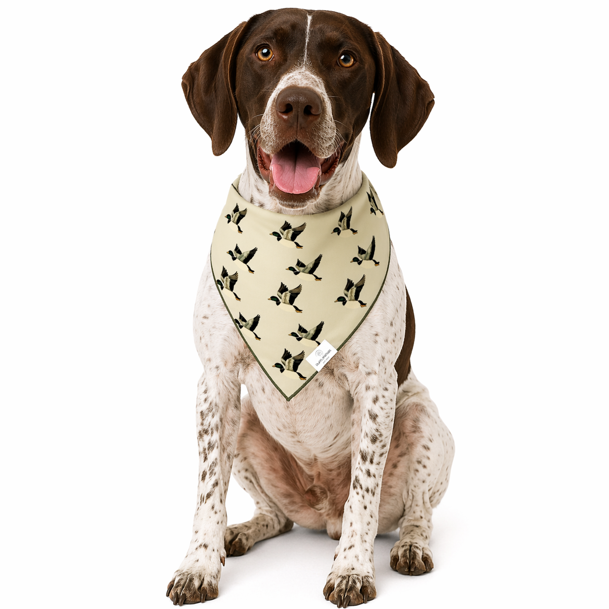 Mallard Duck Dog Bandana: