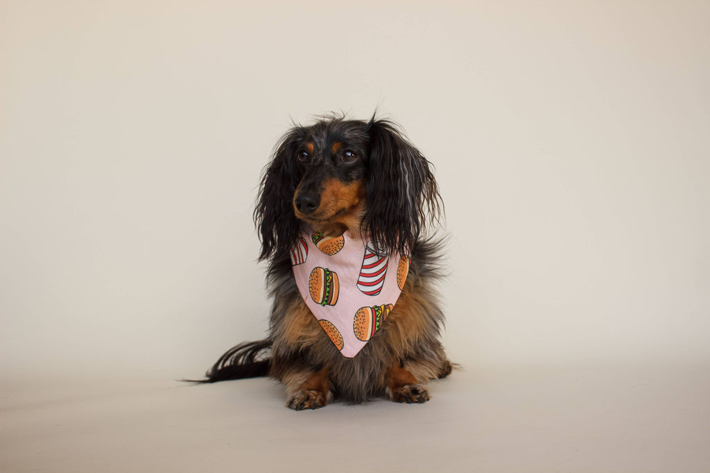 Burgers Bandana - Everyday Dog Bandana:  Tie-On