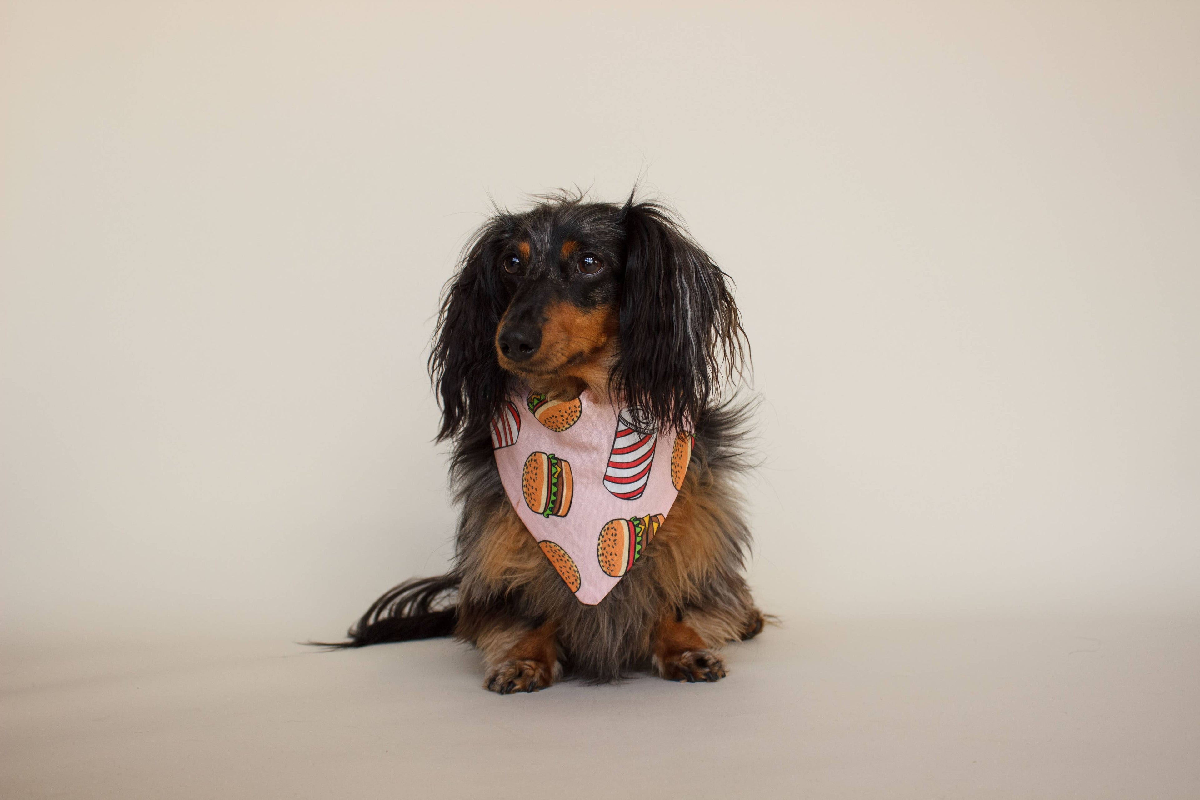 Burgers Bandana - Everyday Dog Bandana:  Tie-On